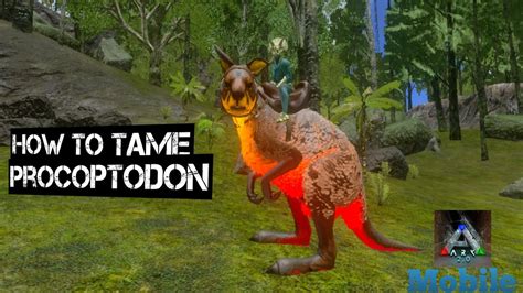 How to tame procoptodon. Things To Know About How to tame procoptodon. 